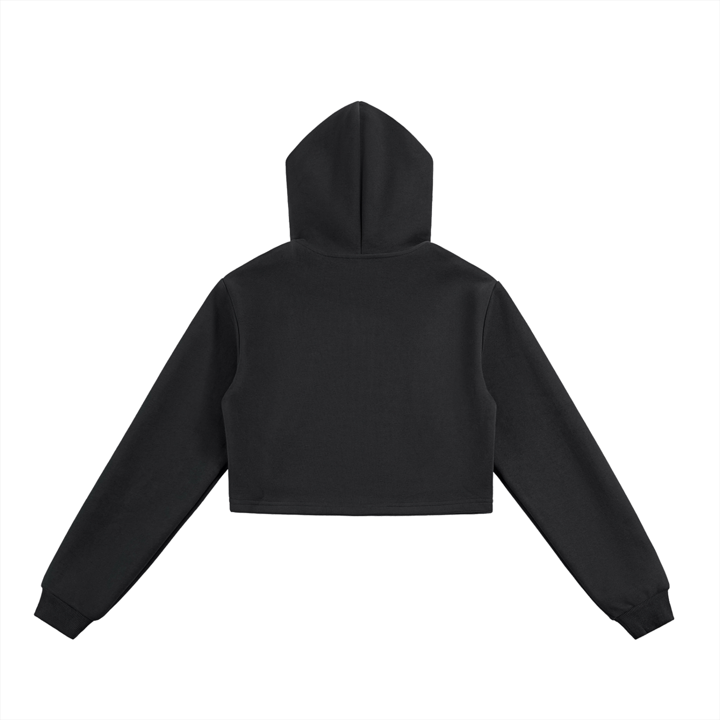 PC Cropped Zip-Up Hoodie