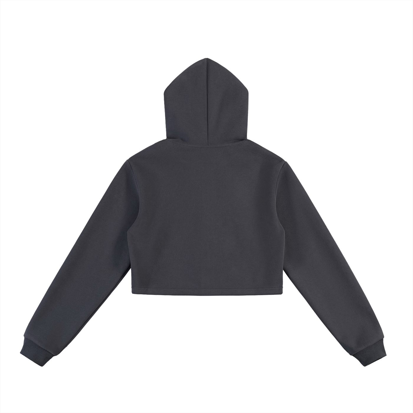 PC Cropped Zip-Up Hoodie